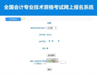辽宁会计网准考证打印,“2025年辽宁初级会计准考证打印流程及注意事项详解”