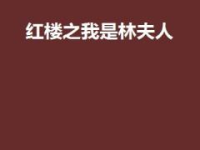 红楼之我是林夫人,林夫人传奇人生