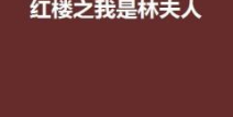 红楼之我是林夫人,林夫人传奇人生