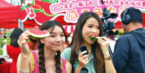 吃瓜者娱乐,吃瓜者的娱乐盛宴