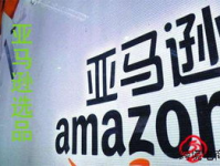 亚马逊开网店要多少钱,全面了解开店成本与预算规划