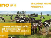 娱乐之最强牧场,娱乐之最强牧场传奇