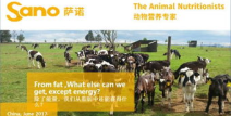 娱乐之最强牧场,娱乐之最强牧场传奇