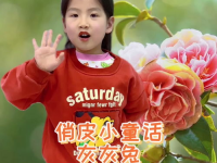 娱乐吃瓜酱陪伴是最长情,最长情的娱乐瓜果时光